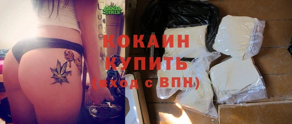 MESCALINE Бородино